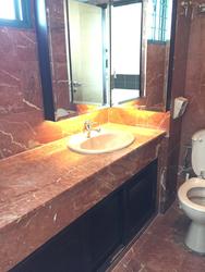 Holland Road (D10), Condominium #82076372